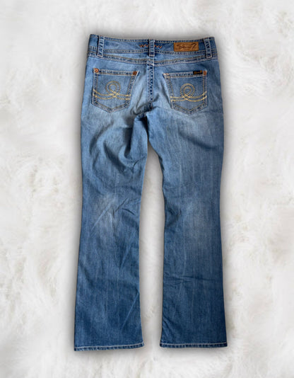 Y2K Vintage Low-Waisted Western Jeans
