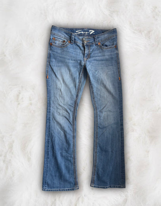 Y2K Vintage Low-Waisted Western Jeans